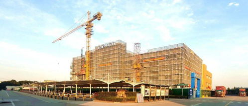 三棵树工业涂料再添标杆工程 守护雀巢与太太乐工业厂房，树建筑防护新典范